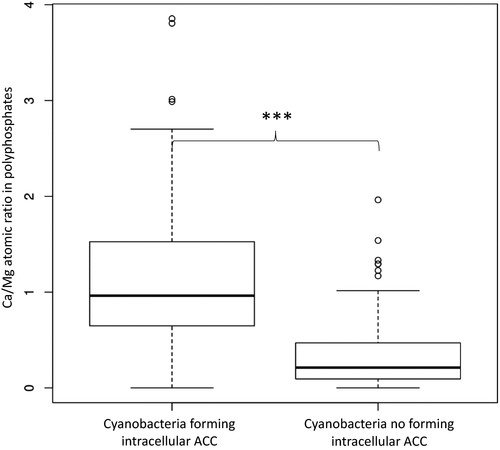 Mann-Whitney test (Mann-Whitney U - test, Mann-Whitney W - test or Wilcoxon rank sum test)
