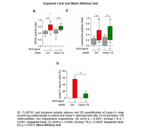 statistical data analyses