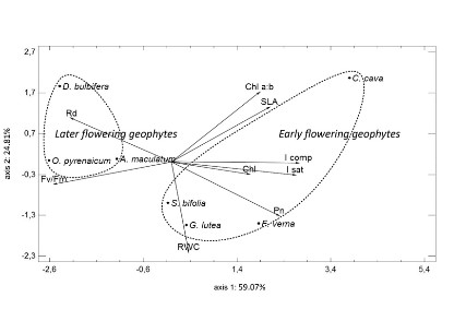 bojovicstatistics.rs