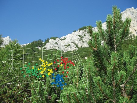 bojovicstatistics.rs